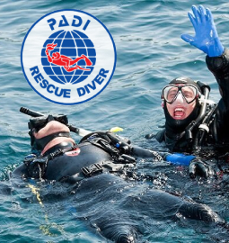 camel diving scuba instructor dahab PADI red sea egypt
